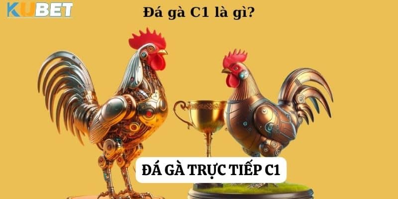 Đá gà trực tiếp C1 tại Kubet: Hòa mình trong sự hấp dẫn của trận chiến trên sàn đấu