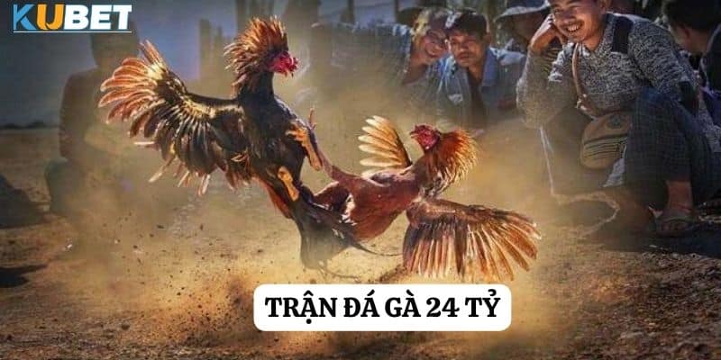 Trận đá gà 24 tỷ tại Kubet: Cơn sóng kích thích và cơ hội thắng lớn